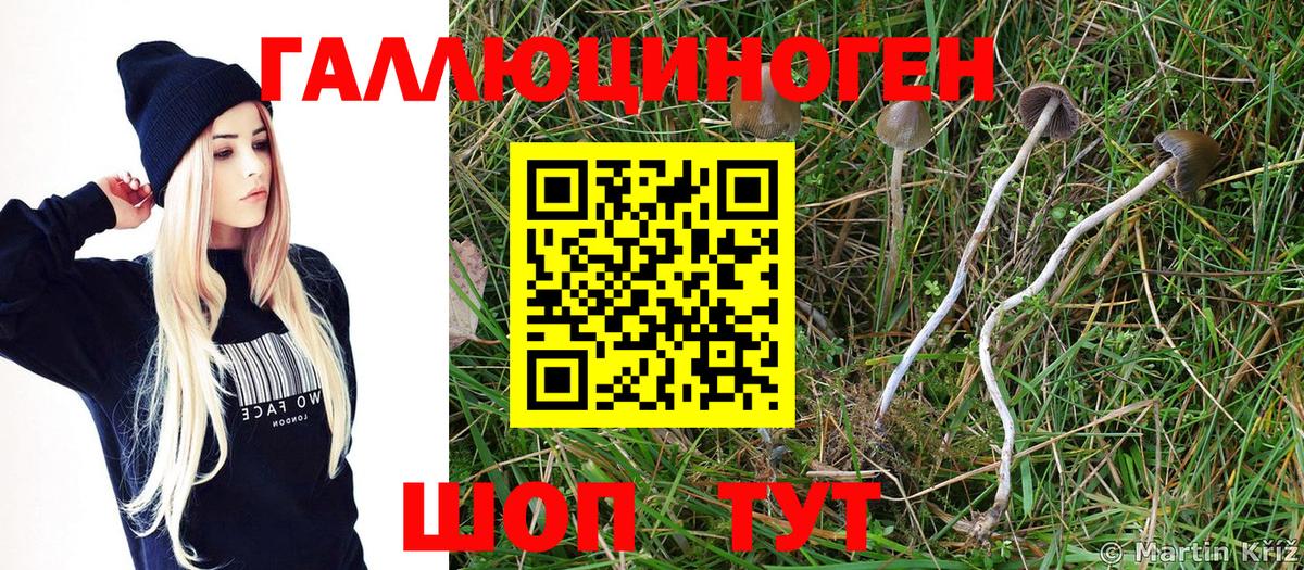 Галлюциногенные грибы GOLDEN TEACHER Учалы